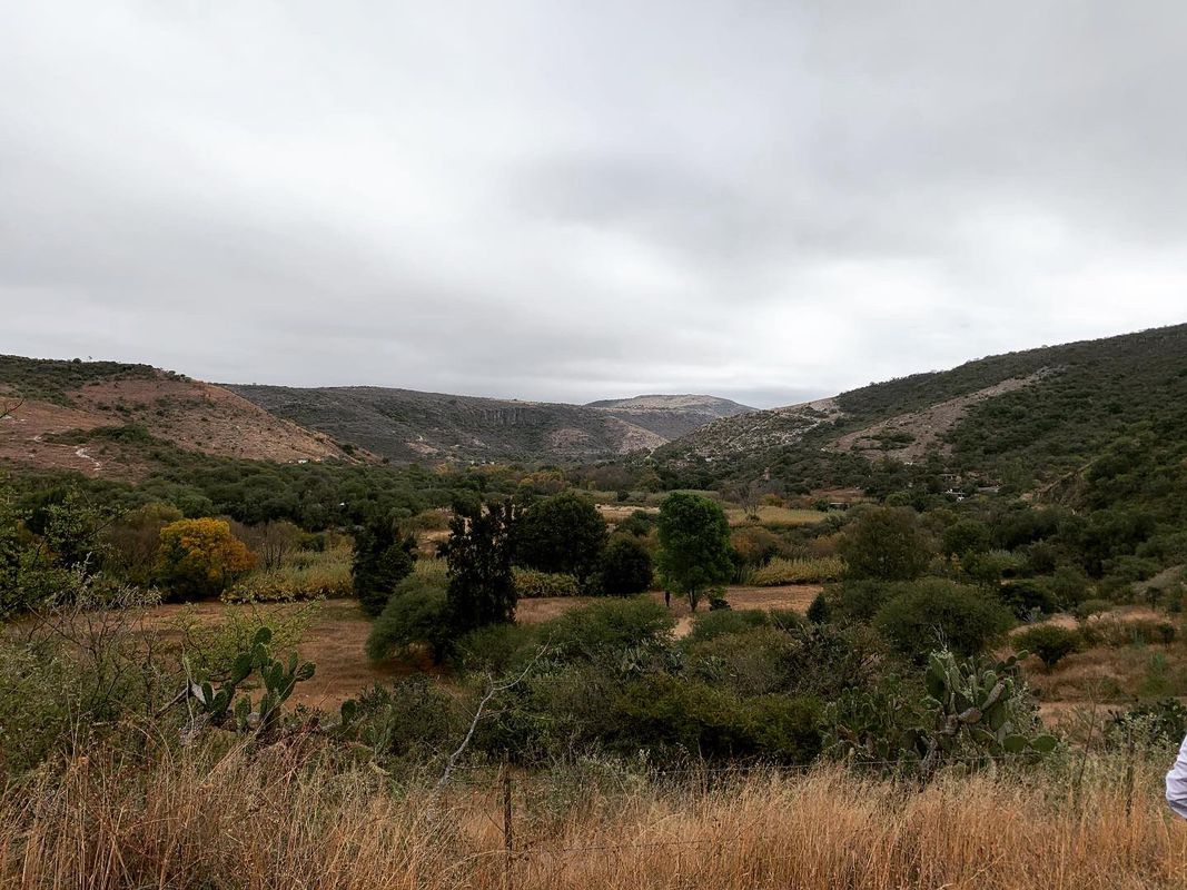Presa san miguel