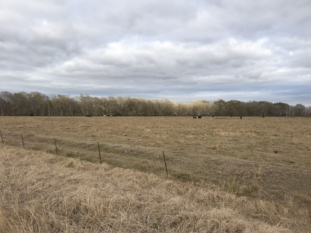 Christmas China Gravel Grind #doyoudiverge.