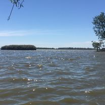 Paseo lento en Navarro
