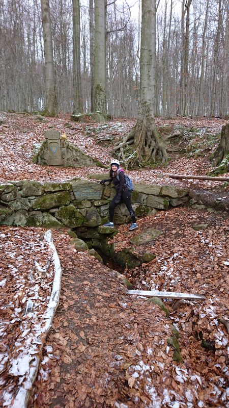 Gerade Fahrt in Neukirch/Lausitz
