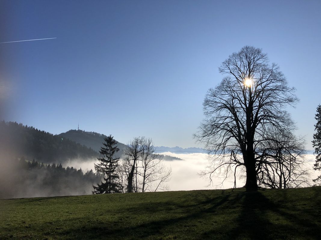 Spaziergang im Zürioberland