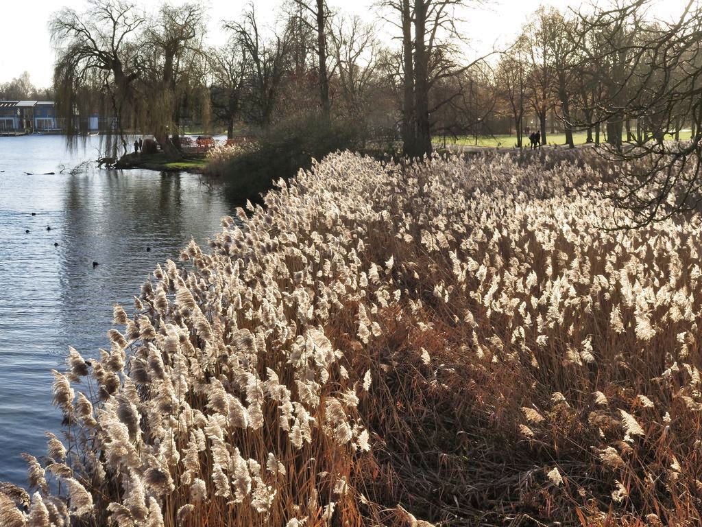 Schwerin-Rundtour: Jahreswechsel 2019/2020