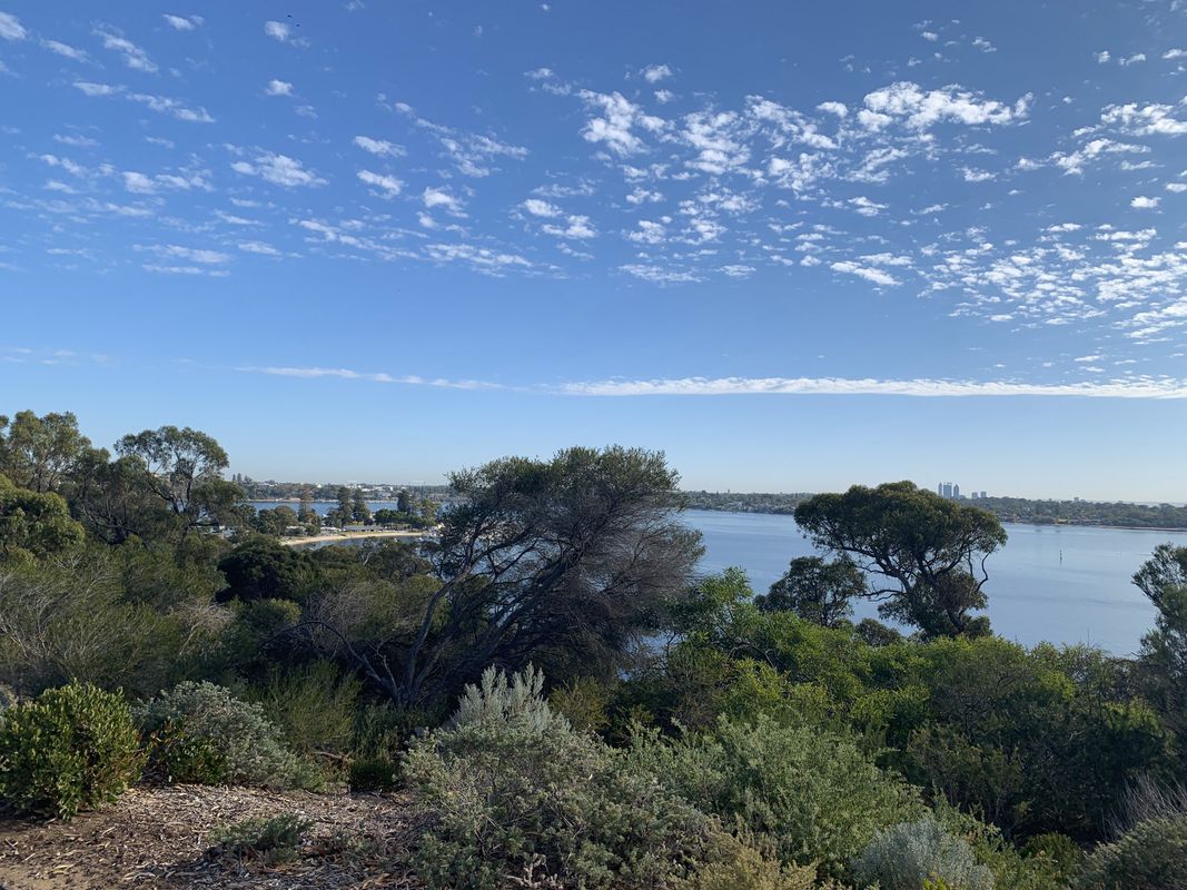 SouthPerthDalkeithCarousel