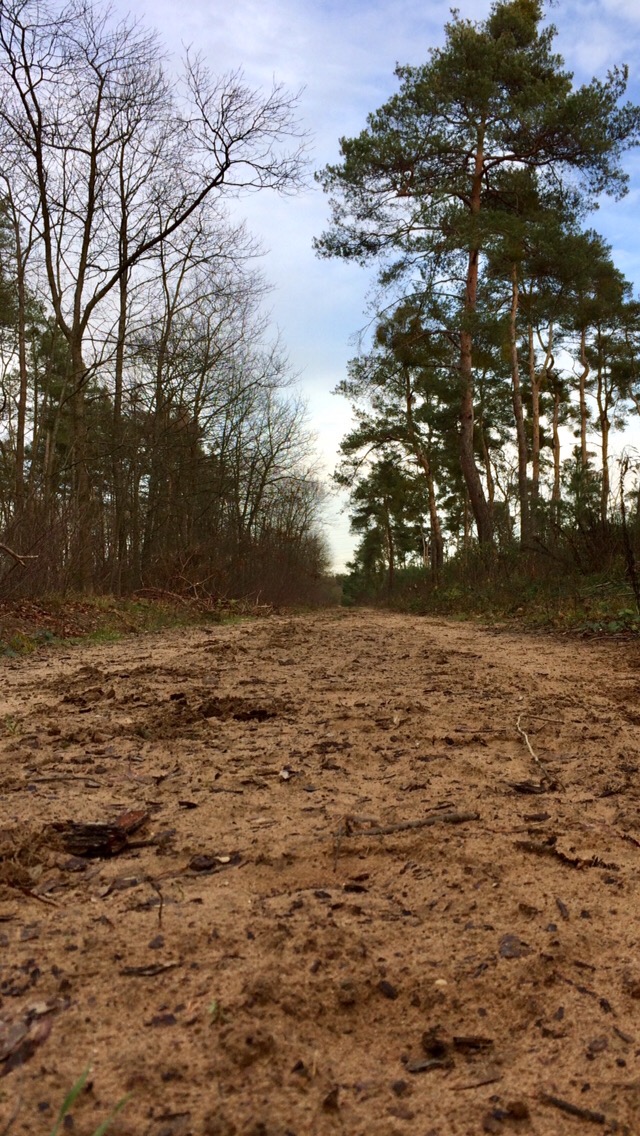 Rough Ride Ried 20200119