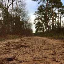 Rough Ride Ried 20200119