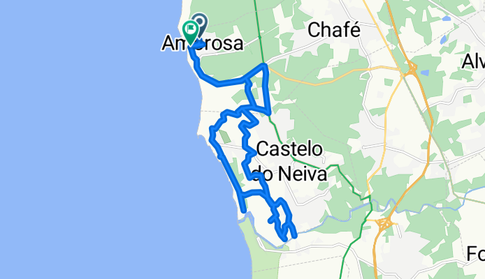 Amorosa -Castelo de Neiva