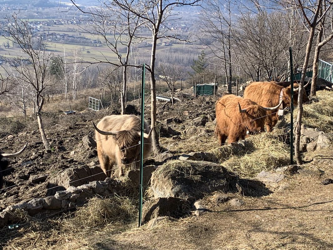 FULL , sterrato Parco Dora e tagliafuoco Musine, rientro da Almese