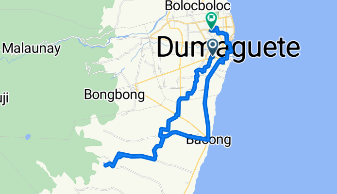 To Dauin NIA Dam