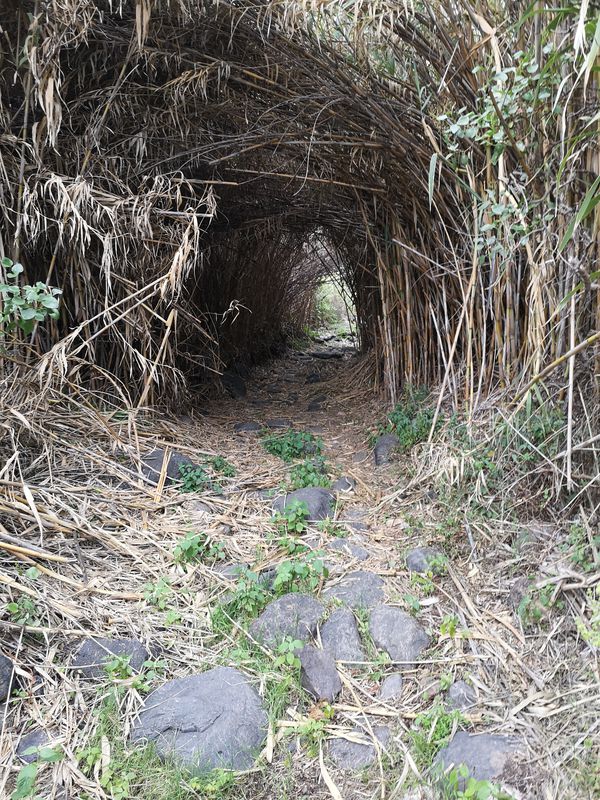 Paseo lento en España
