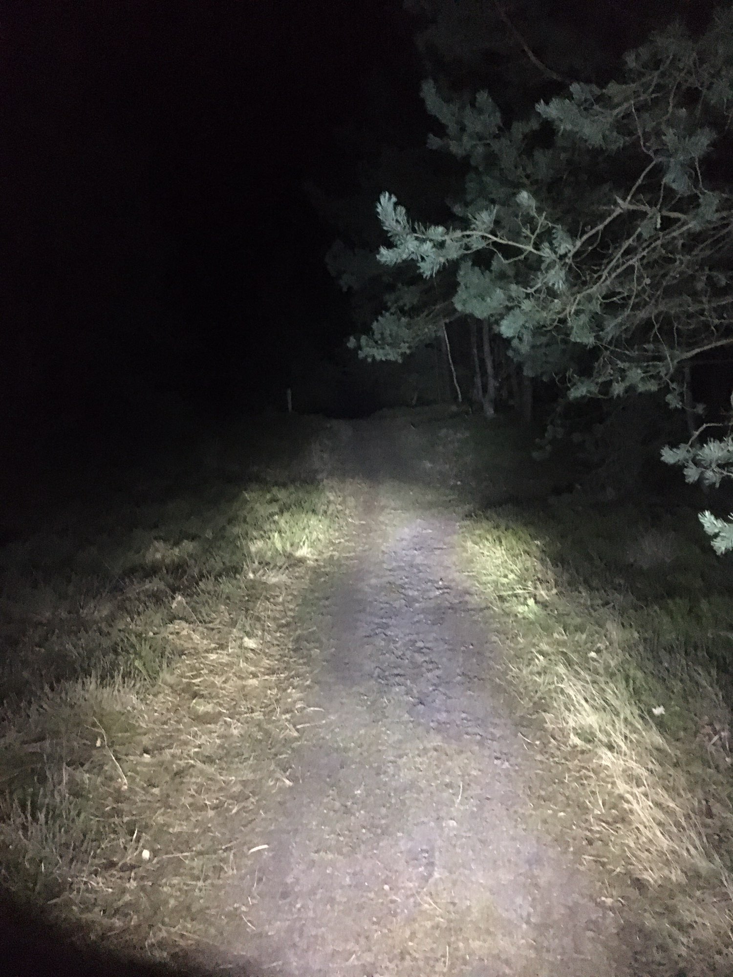 SPRÖ-NIN letzte Chance auf Cross
