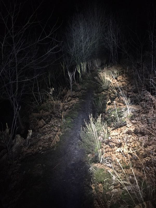 SPRÖ-NIN letzte Chance auf Cross