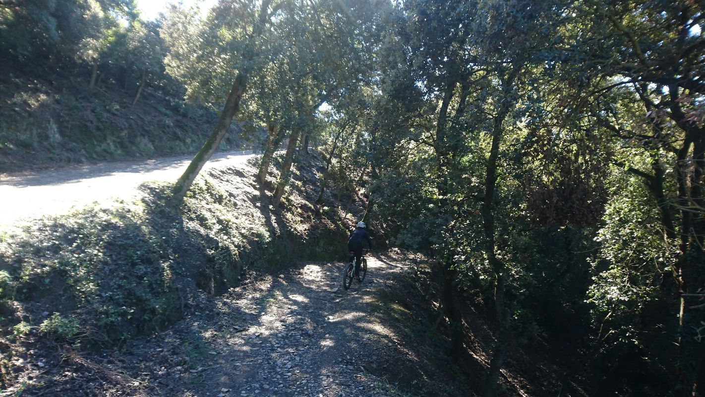 Volta per Collserola