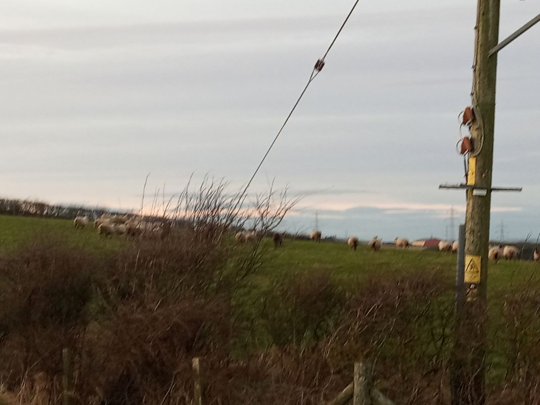 Restful ride in Boddam