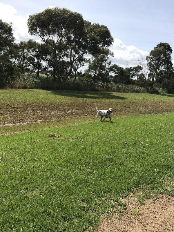 Aspendale gardens area