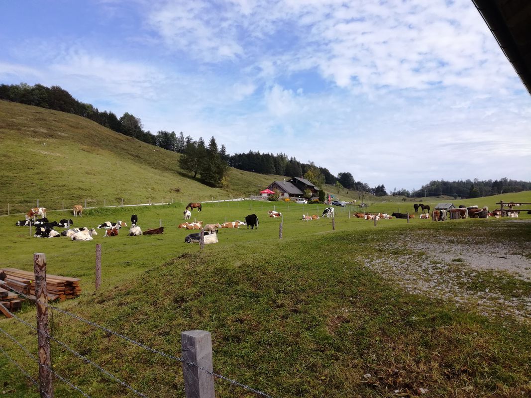 Eisenauclimb-Schwarzensee-Wolfgangsee-St.Gilgen