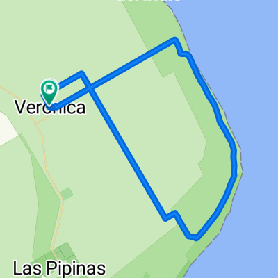 Veronica - Monte Veloz - Punta Indio