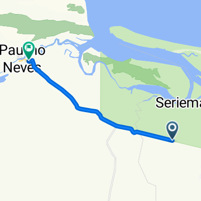 seriema- Paulino Neves