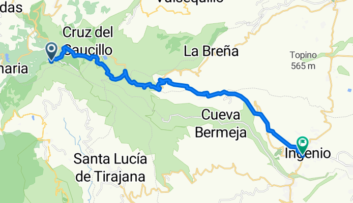 Ingenio-Pico de las Nieves