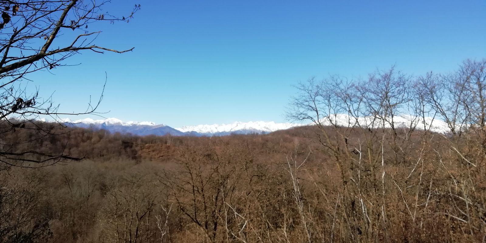 Percorso moderato in Vialfrè