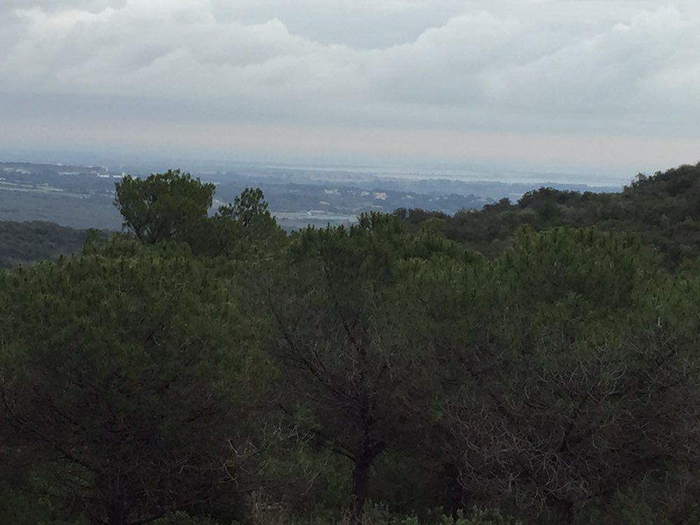 Avenue des Terrasses du Languedoc, Saint-Jean-de-Védas to Avenue des Terrasses du Languedoc, Saint-Jean-de-Védas