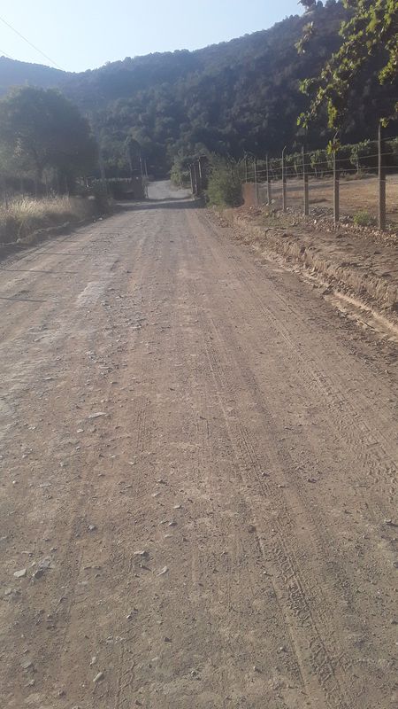 Paseo rápido en Rauco