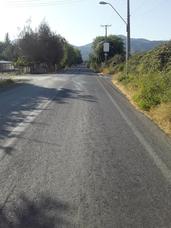 Paseo rápido en Rauco