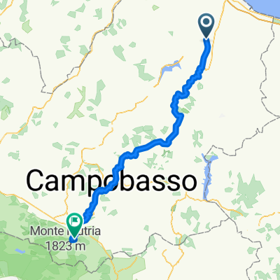 Larino