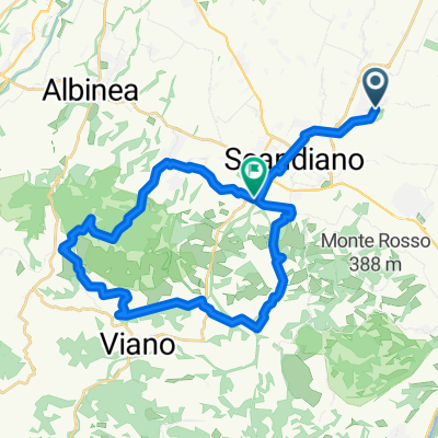 arceto quercia
