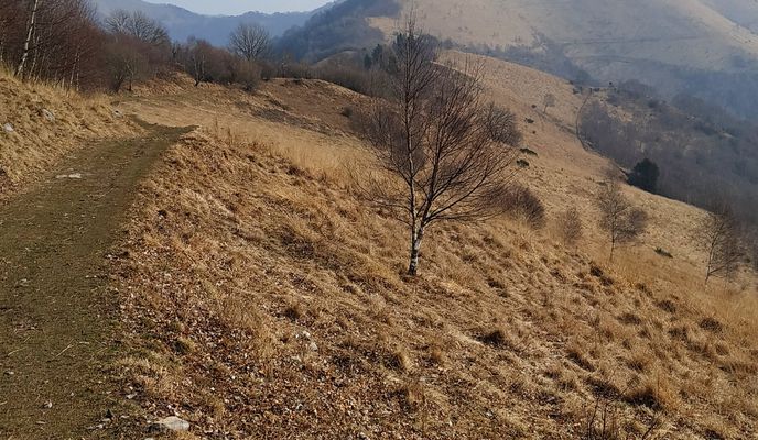 Photo 1 of the Bikemap route "Brunate ➡️ Albavilla"