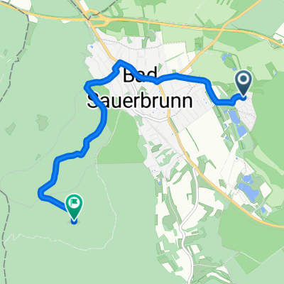 Mountainbike Sauerbrunn 2