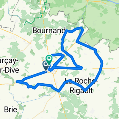 Classic Feminine 2020