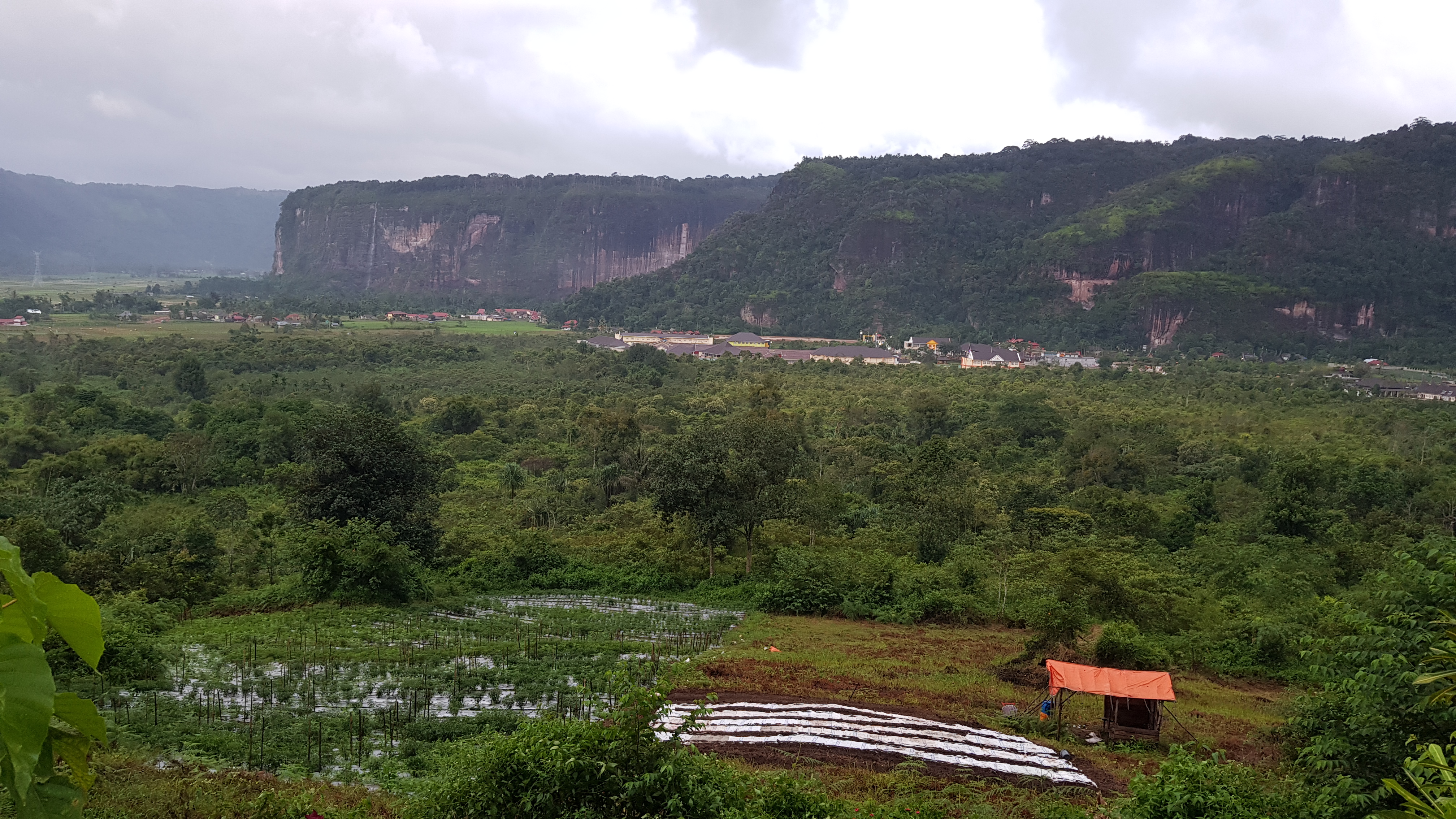 High-speed route in Kecamatan Harau
