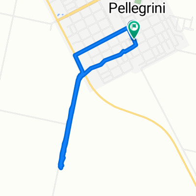 Ruta rápida en Carlos Pellegrini