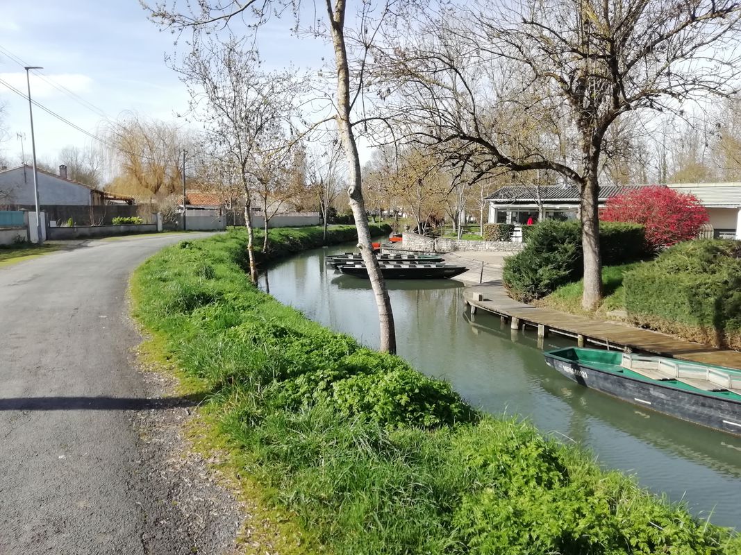Itinéraire assez sportif, le passage dans la Venise verte est magnifique et agréable