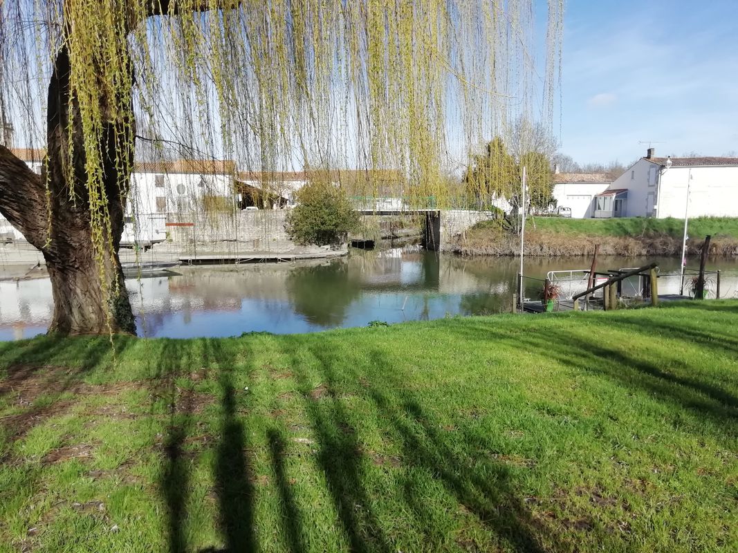 Itinéraire assez sportif, le passage dans la Venise verte est magnifique et agréable