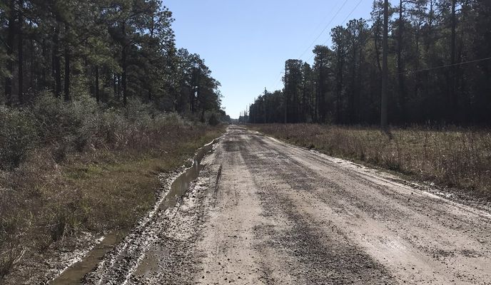 Photo 2 de l’itinéraire Bikemap « Diverging around China, Sour lake, Nome #Texas MS 150 Team Bike Barn #BikeBarnTx #doyoudiverge #specializeddiverge #iamspecialized #roval #roubaixpro #doyougrav » Photo 2 de l’itinéraire Bikemap « Diverging around China, Sour lake, Nome #Texas MS 150 Team Bike Barn #BikeBarnTx #doyoudiverge #specializeddiverge #iamspecialized #roval #roubaixpro #doyougrav »