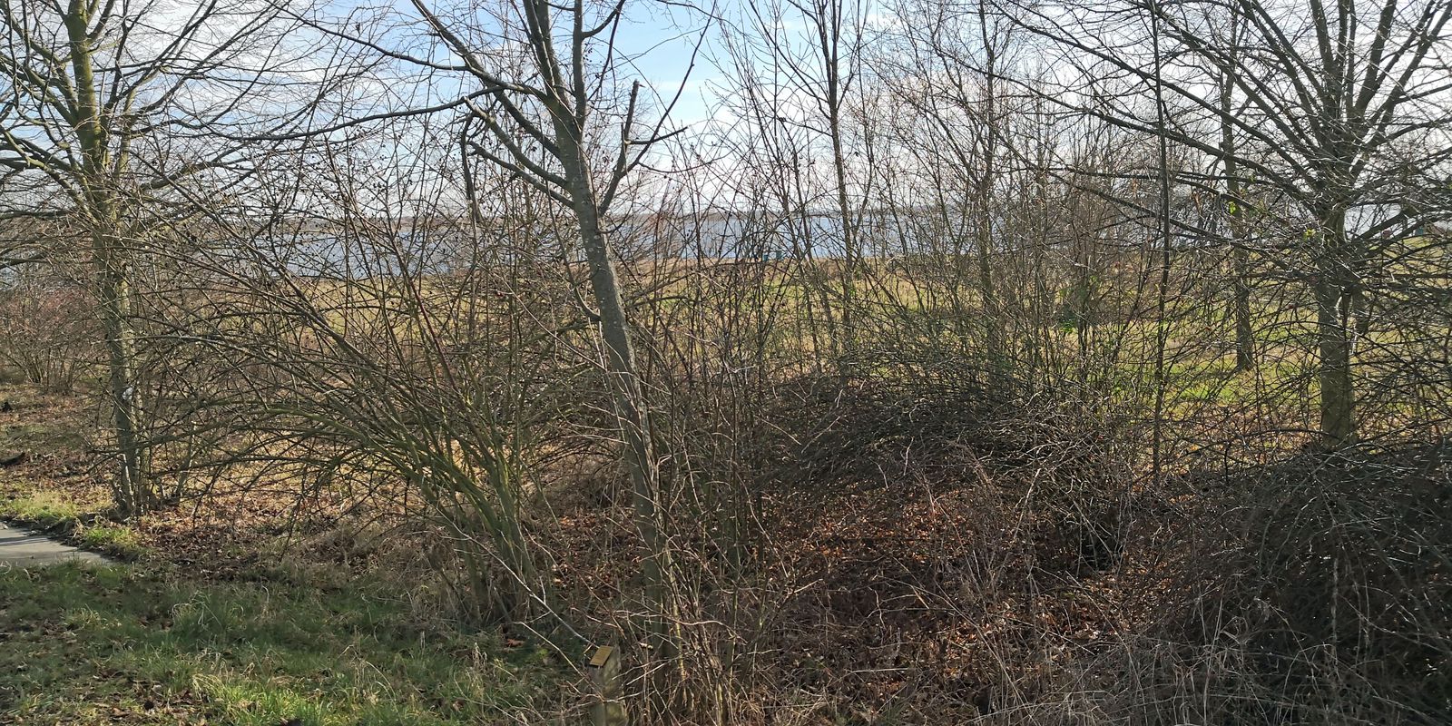 Leipzig(Schönau) zum Cosy und Zurück