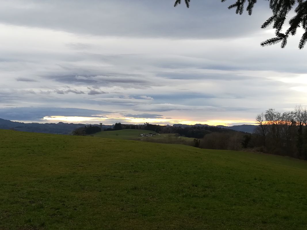 Langsame Fahrt in Wil