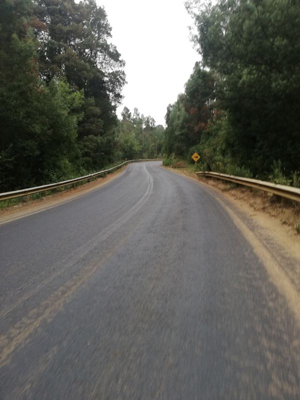 De Pidenco a Puerto Dominguez