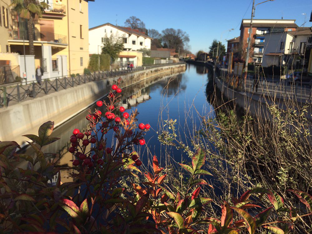Viale Fulvio Testi, Milano to Via Alzaia Martesana 21, Bellinzago Lombardo