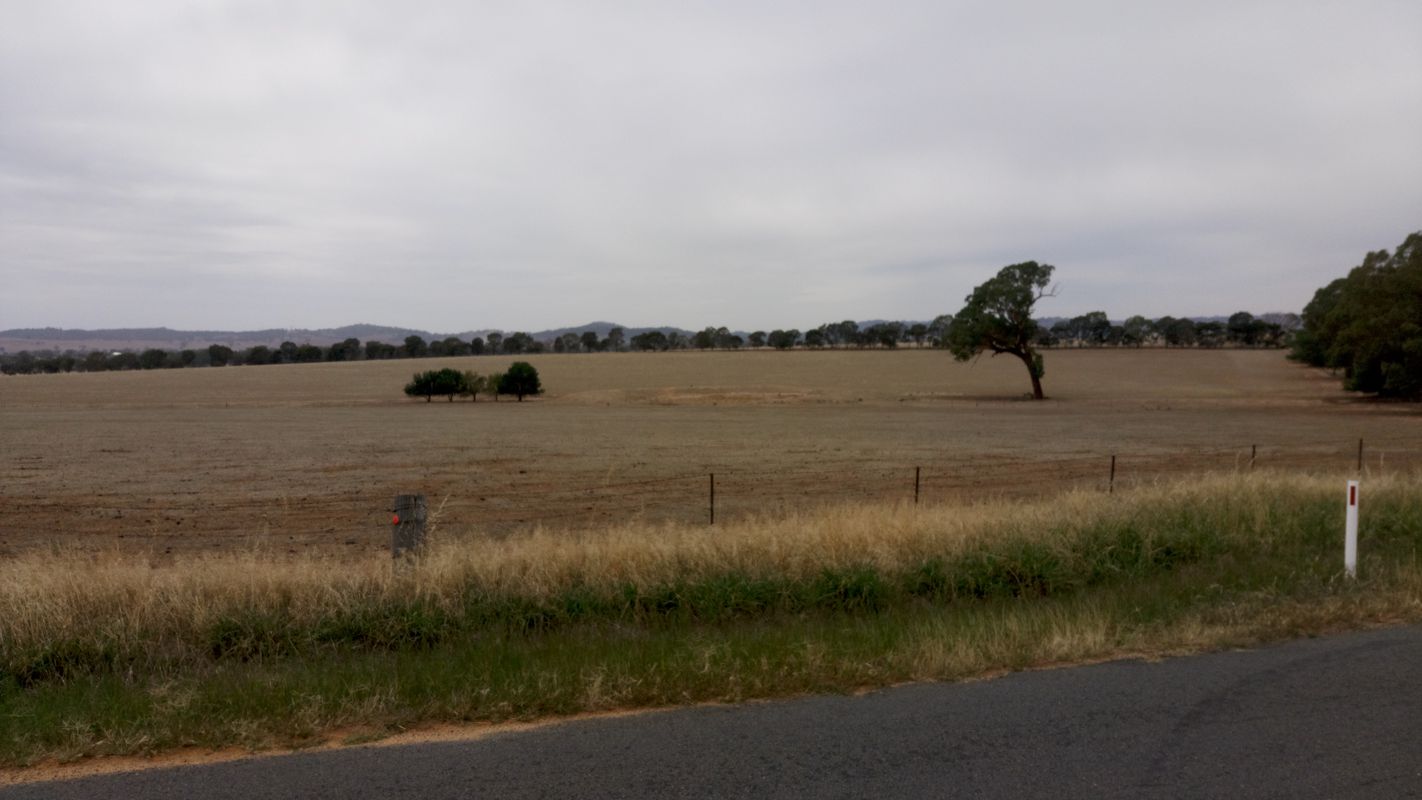Gradys Road 21, Uranquinty to Holbrook Road, Gelston Park