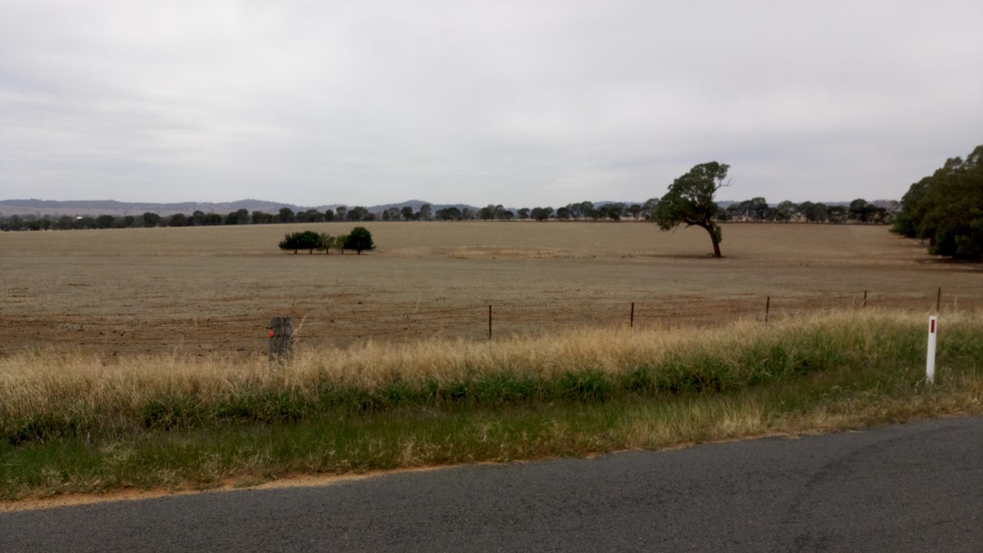 Gradys Road 21, Uranquinty to Holbrook Road, Gelston Park