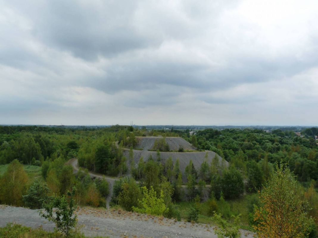 Z Oświęcimia do Bytomia