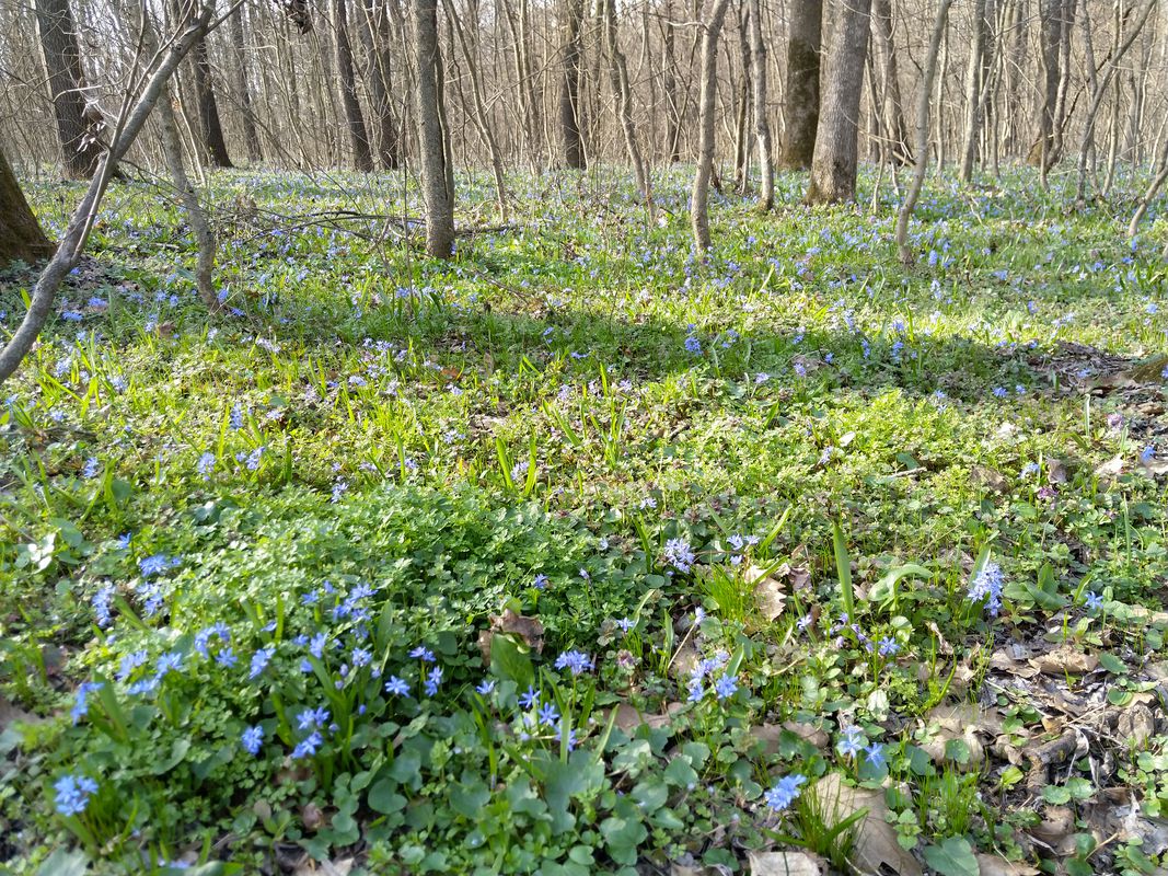 Unnamed Road to Șoseaua Unirii 156, Căciulați