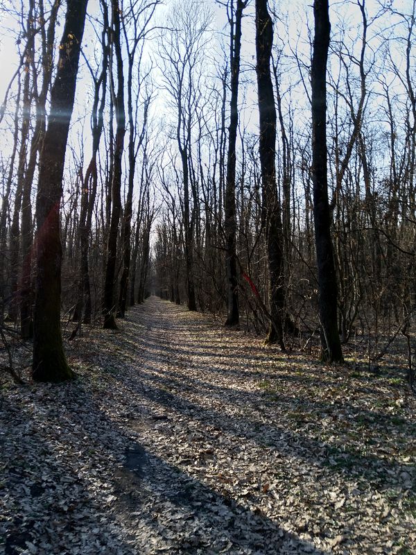 Unnamed Road to Șoseaua Unirii 156, Căciulați