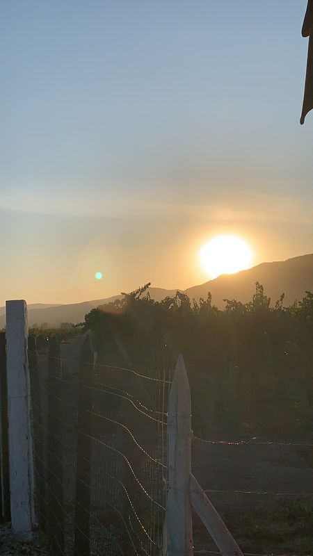 Paseo increíble en Rauco