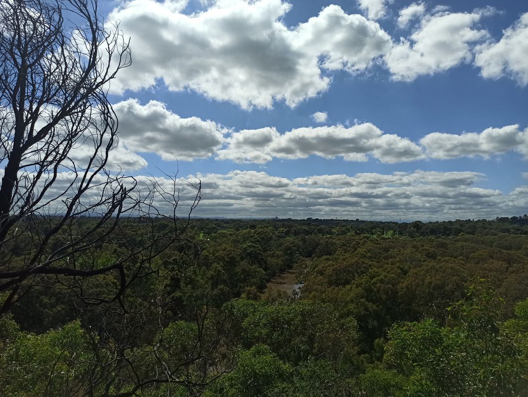 Little Bourke Street 344, Melbourne to Elizabeth Street 221, Melbourne
