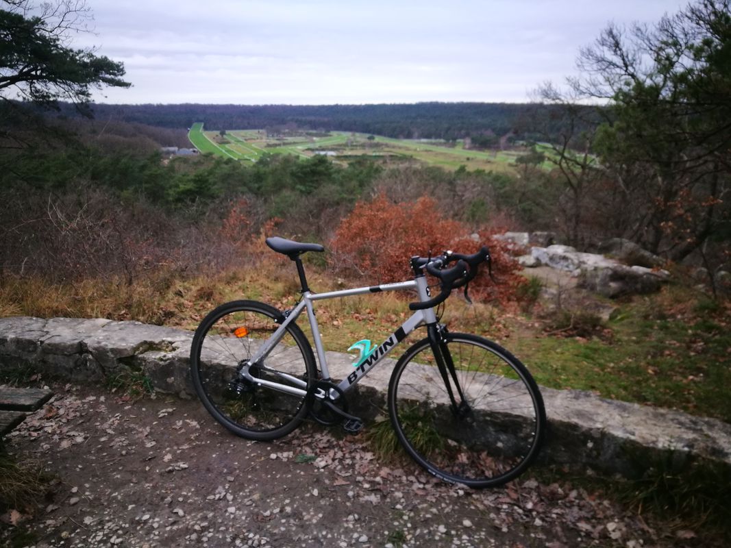 Tour découverte de la forêt de Fontainebleau