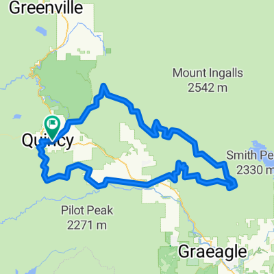 Quincy - Argentine - 5 Pts - Mt Claremont Loop