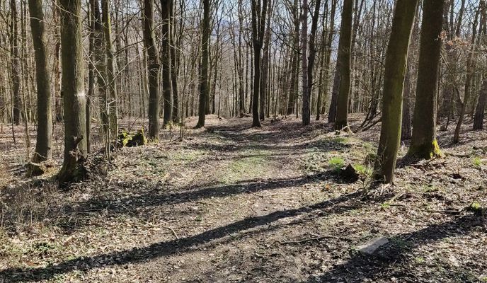 Photo 2 of the Bikemap route "Kolečko terasa =&gt; Božtěšice (co nejvíc po trailu)"